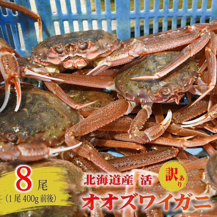 【ふるさと納税】訳あり 活オオズワイガニ400g前後×8尾[02-1569]※離島・沖縄県不可※ 北海道 浦河 ふるさと納税 オオズワイガニ カニ 活 漁協直送 冷蔵発送 送料無料