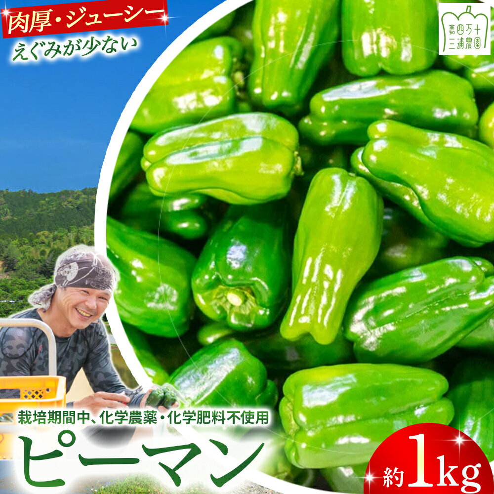 【ふるさと納税】【予約受付】 肉厚ジューシー！栽培期間中化学農薬・化学肥料不使用のえぐみ少ないピーマン1kg ／Fms-13 農産物 新鮮 ぴーまん ピーマン 肉厚ピーマン 野菜 大量
