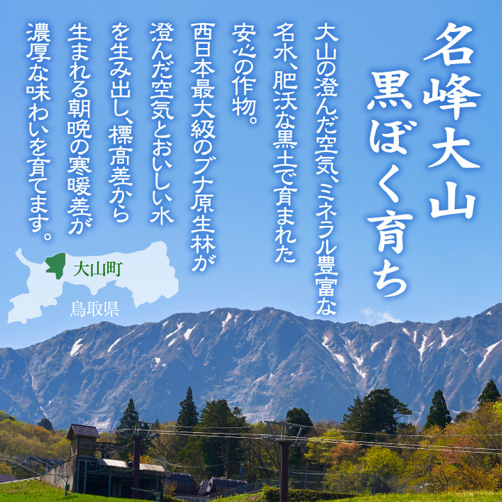 大山町産こしひかり【大山の一粒】10ｋｇ（玄米）