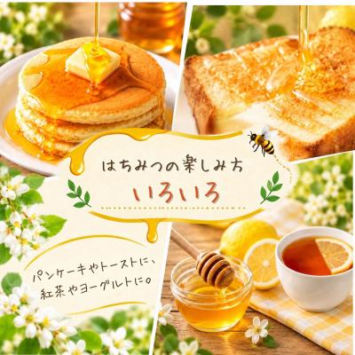 ふるさと納税 飯山市 国産 天然 はちみつ 菜の花蜜 500g 1瓶 芳川養蜂場 |  | 01