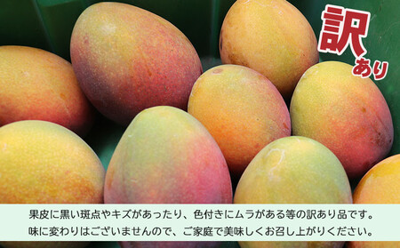 マンゴー 訳あり品【2026年発送】久米島熱帯果樹園 完熟マンゴー約2kg（3～6玉） アーウィン アップルマンゴー
