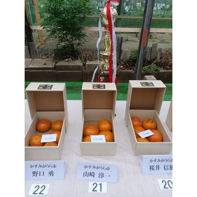 ふるさと納税 かすみがうら市 柿の中の柿、最も古くから愛されている美味しい富有柿　約3.5kg(10〜14個) |  | 02