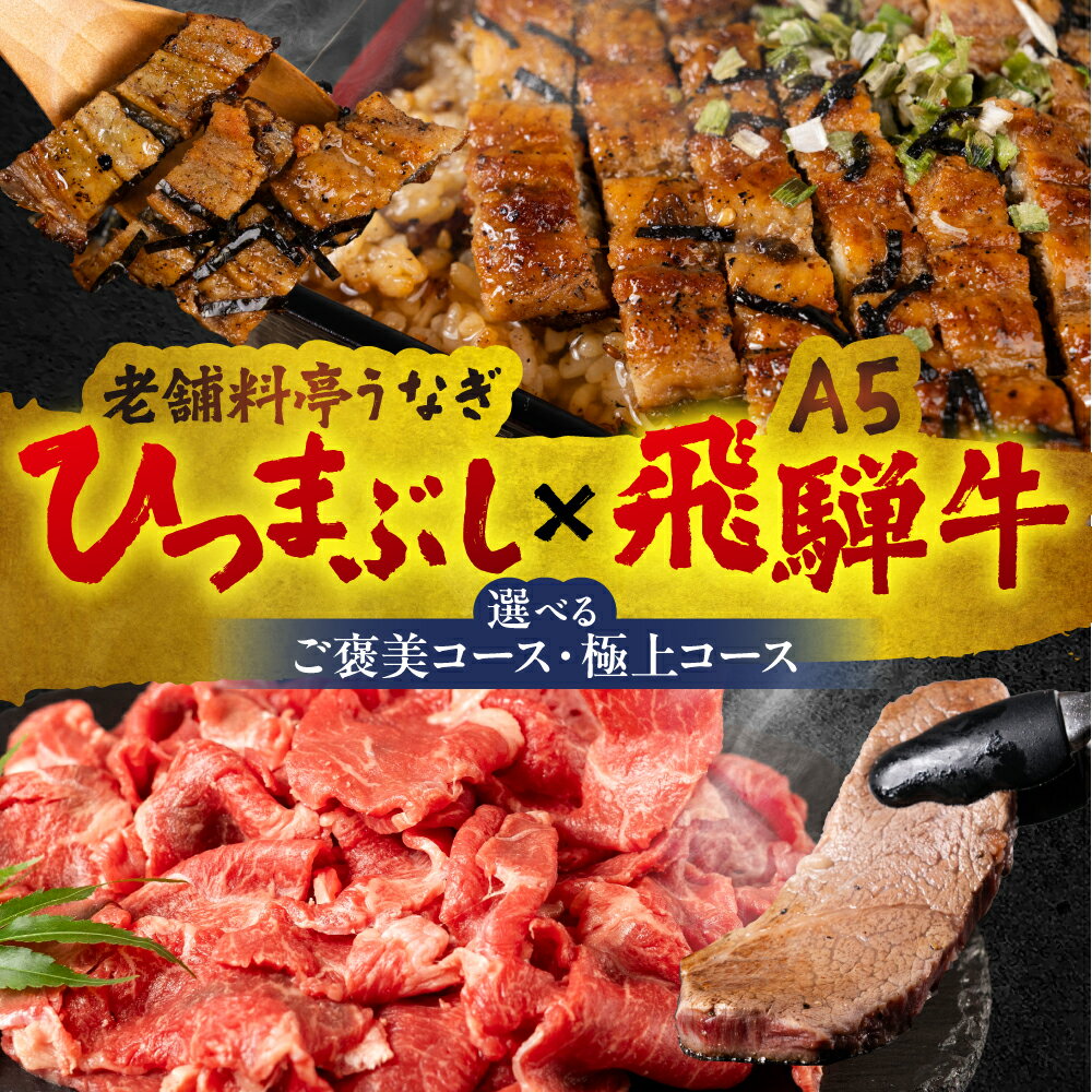 【ふるさと納税】老舗料亭うなぎ × A5飛騨牛 ≪選べる≫ ご褒美 極上 飛騨牛 A5 A5ランク A5等級 切り落とし ヒレ ステーキ うなぎ unagi ひつまぶし 国産 長焼 蒲焼 うな牛 冷凍 冷蔵 プレゼント ギフト 20000円 2万円 60000円 6万円 中部ミート 玉辰楼 岐阜県 大垣市