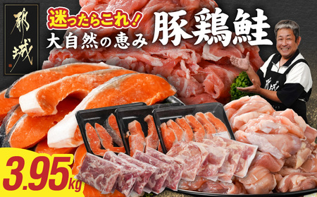 ≪肉×魚≫小分け3種セット(豚切り落とし250g×5P・鶏モモカット済300g×4P・銀鮭500g×3P)_23-8401_(都城市) 小分けパック 冷凍 お弁当 おかず