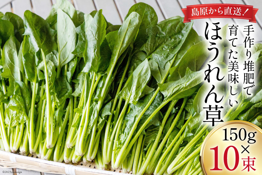 CH010 ほうれん草 150g×10束