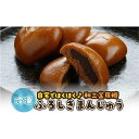 【ふるさと納税】山陰銘菓 ふろしきまんじゅう（冷凍） 40個（10個入×4箱） | 菓子 おかし デザート 食品 人気 おすすめ 送料無料