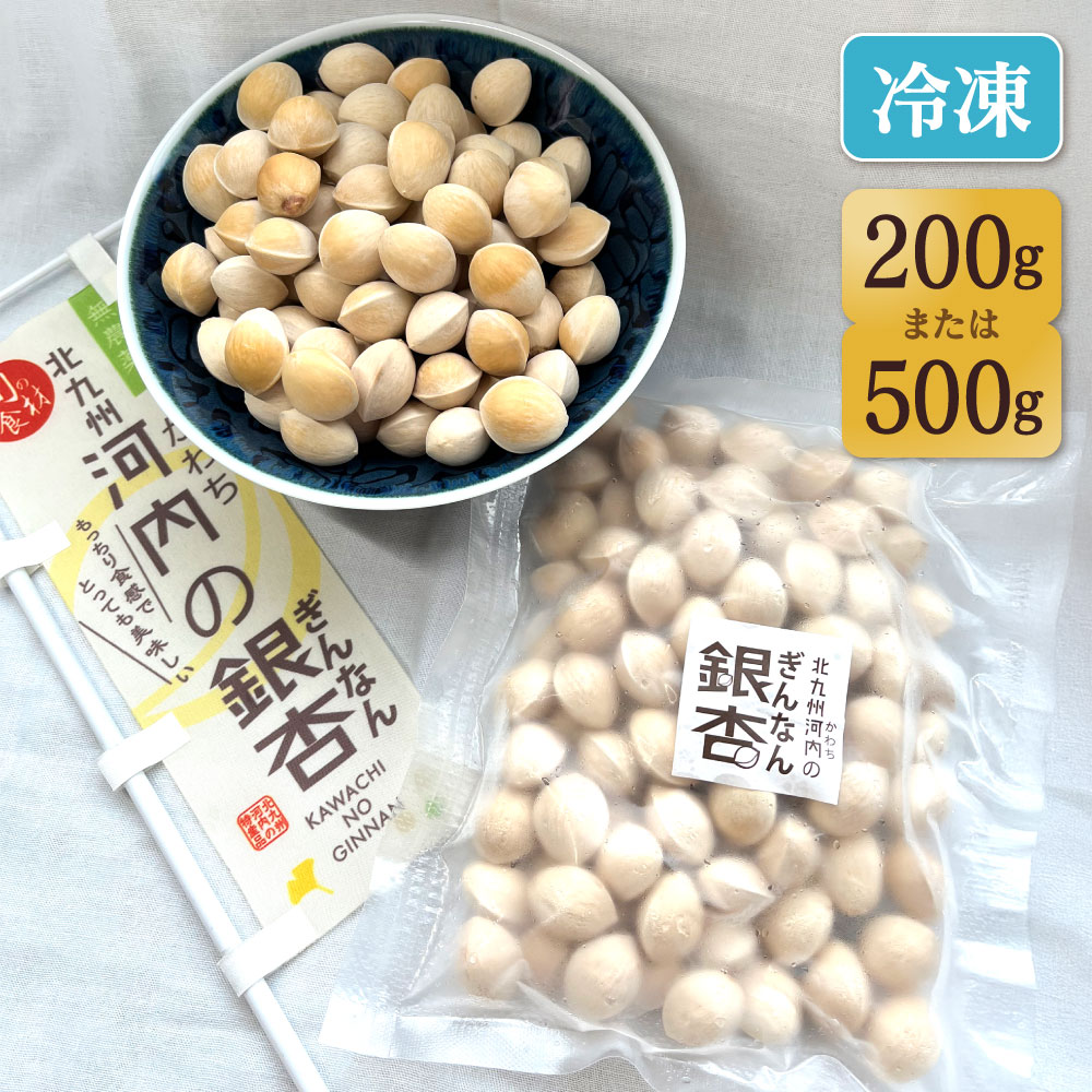 【ふるさと納税】冷凍 北九州河内の銀杏 〈選べる〉200g または 500g 銀杏 ぎんなん 殻付き 実 おつまみ おやつ 酒の肴 モチモチ 国産 福岡県北九州市