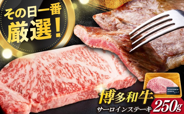 【厳選部位使用！】博多和牛 A4以上 サーロイン ステーキ 250g×1枚《築上町》【株式会社MEAT PLUS】 [ABBP006]