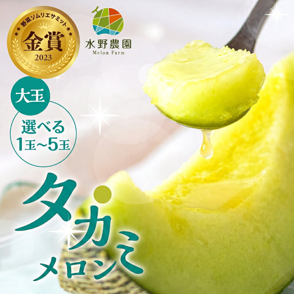 【ふるさと納税】 先行予約 タカミメロン 大玉1玉 ～ 5玉 水野農園 | 2027年7月初中旬以降順次発送 メロン めろん 先行受付 フルーツ 果物 お中元 お取り寄せ ギフト 渥美半島 田原市 産地直送 送料無料 メロン 糖度 メロン 青肉 ド甘い 暑さ 対策 暑さ対策