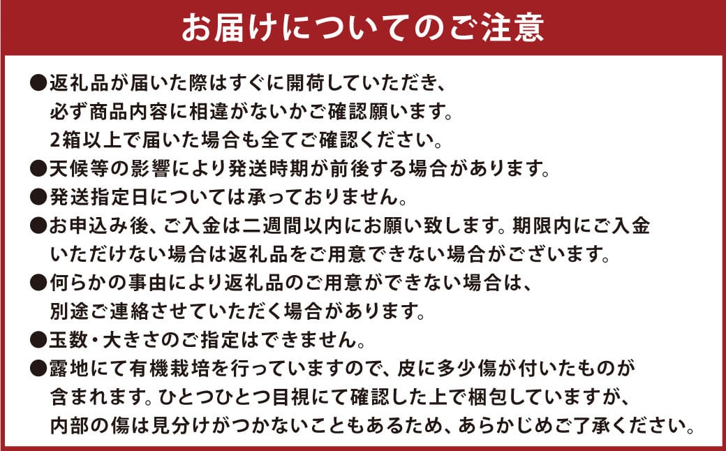 特別栽培みかん 5kg サイズミックス