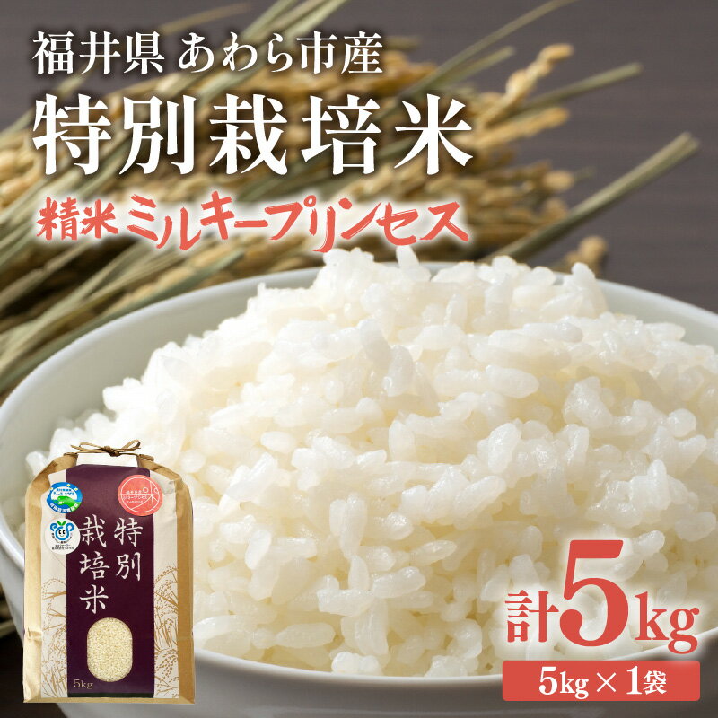【ふるさと納税】【先行予約】【令和7年産】化学肥料不使用 特別栽培米 ミルキープリンセス 精米 5kg / 白米 米 福井県あわら市産 美味しい 特別栽培米 減農薬 安心な米 旨味 甘み もっちり 冷蔵保管米 ※2025年10月上旬より順次発送