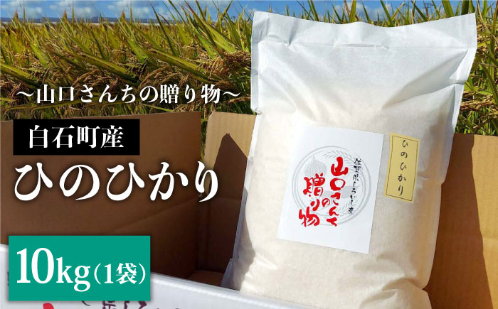 
            【令和6年産新米！】 特別栽培米 ひのひかり 10kg 白米～山口さんちの贈り物～【y'scompany】米  お米 ヒノヒカリ ひのひかり お米 特別栽培米 白米 [IAS009]
          