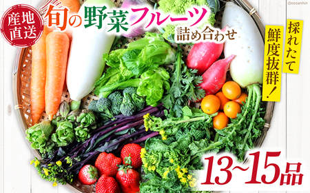 新鮮 「旬の野菜・フルーツ」 詰め合わせ セット（13品～15品）/ 野菜 定期便 やさい 定期便 野菜セット やさいセット 春野菜 夏野菜 秋野菜 冬野菜 旬新鮮 / 南島原市 /長崎県農産品流通合同会社[SCB090]