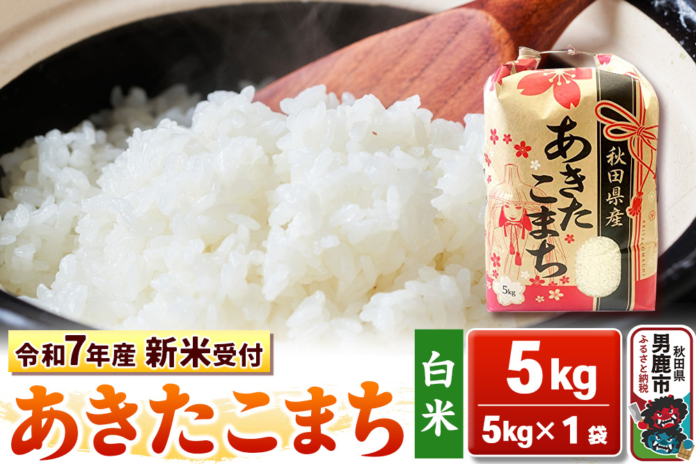 《令和7年産 新米受付》【白米】秋田県産 あきたこまち 5kg 秋田県 男鹿市 こまちライン|23_kml-030501s