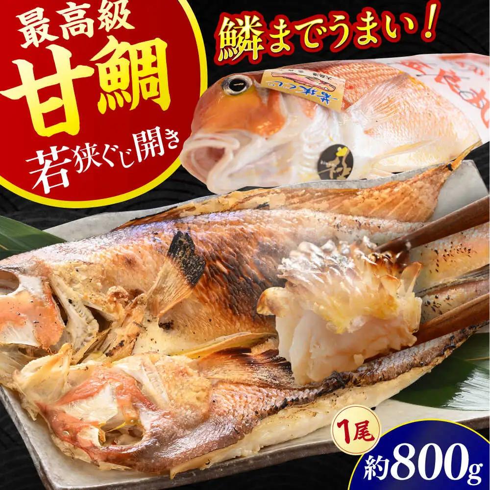 【加福鮮魚】若狭ぐじ 一汐開き 1尾 800g　甘鯛 タイ アカアマダイ 焼き魚 高級 小浜市 / 加福鮮魚【配送不可地域：北海道・沖縄・離島】  [BFBC001] 