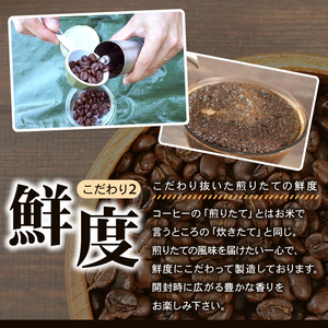 自家焙煎 コーヒー 豆 200g (インドネシア100g/深煎り、ケニア100g/中煎り) 