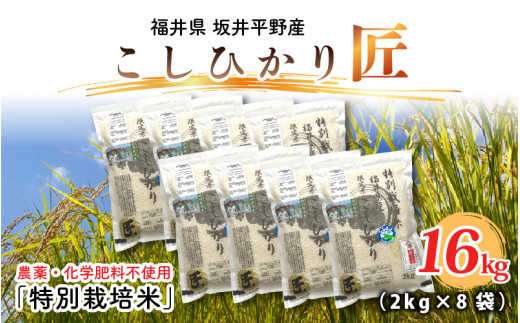 【令和7年産】特別栽培米 コシヒカリ匠 16kg (2kg × 8袋) （白米）栽培期間中農薬不使用 / コシヒカリ こしひかり 白米 お米 [I-2910_01]