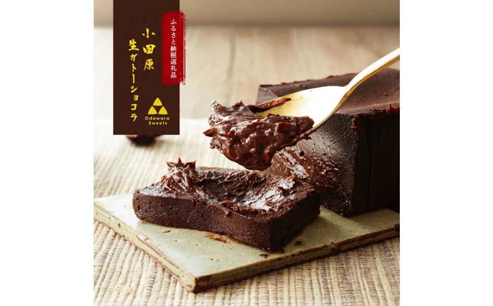 【ラッピング】幸せの生ガトーショコラ 2本セット【チョコレート 特濃厚 濃密な味わい 極上の口溶け 極上のチョコレート 一流の料理人 チョコレート本来の味わいと甘み カカオの風味やコク カカオ 至極の