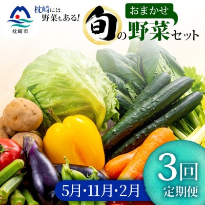 【発送月固定定期便】枕崎の野菜!!定番・旬の野菜お任せセット(5・11・2月)DD0−0008全3回【配送不可地域：離島】【4057567】