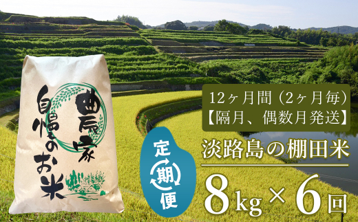 【定期便】淡路島の棚田米 ８kg×６回（隔月、偶数月中旬発送）　精米 白米