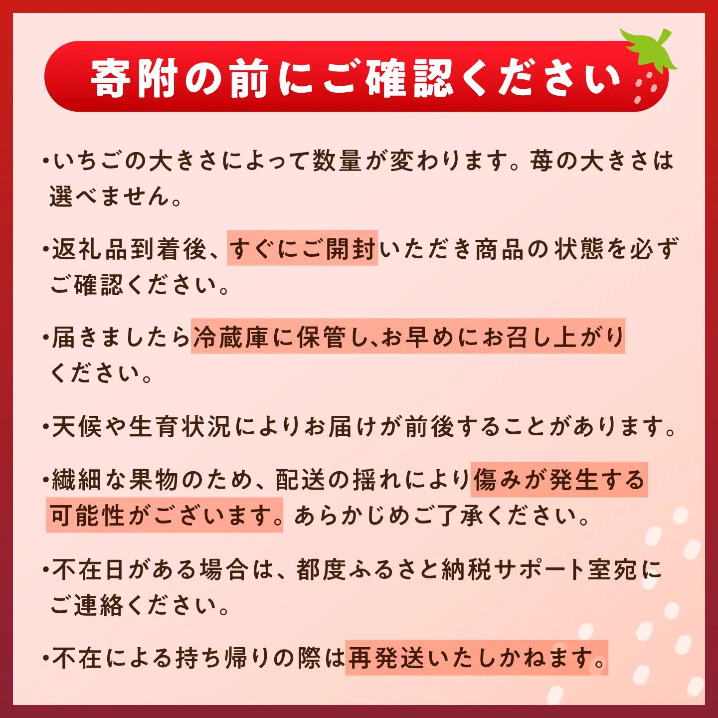【先行予約】完熟 大粒 いちご 2パック(贈答用) / 恵那市 / クリエイティブファーマーズ [AUAH021] いちご
