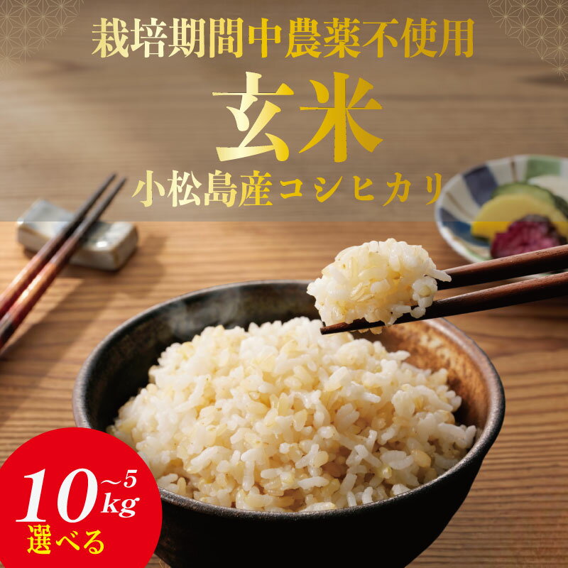 【ふるさと納税】 令和7年産 玄米 5kg~10kg コシヒカリ 米 こめ ご飯 ごはん おにぎり 卵かけご飯 白米 栽培期間中農薬不使用 食品 備蓄 備蓄米 保存 防災 ギフト 贈答 プレゼント お取り寄せ グルメ 送料無料 徳島県