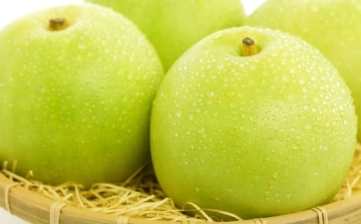 
                  【先行予約】青梨10kg【梨 青梨 瑞秋 10kg 先行予約 なし ナシ pear 期間限定 季節限定 果物 くだもの フルーツ お取り寄せ 特産品 島根県 益田市】
                
