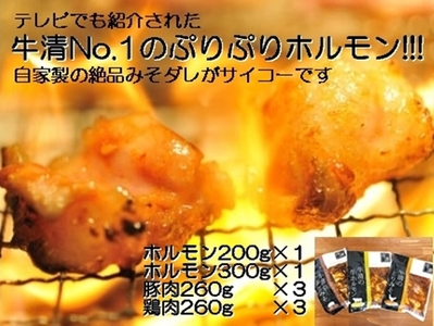 1516　自家製 みそダレ Mセット　　牛 ホルモン 200g 300ｇ×各１ 豚肉 ×３ 鶏肉 ×３/ 黒毛和牛ホルモン 牛清 バーベキュー BBQ 牛肉 ぶた肉 とり肉 特製 味噌漬 味付 伊勢志