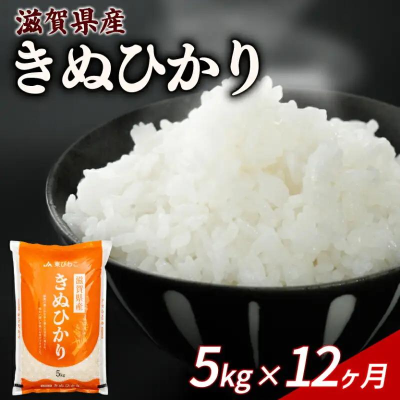 【12ヶ月定期便】 きぬひかり 5kg 令和7年産 キヌヒカリ 定期便 お米 米