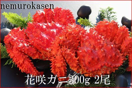 [12月21日決済分まで年内配送]【北海道根室産】花咲ガニ300g×2尾 A-57060