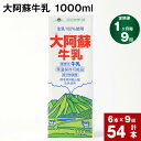 【ふるさと納税】【定期便】【1ヶ月毎 9回】 大阿蘇牛乳 1000ml 計54本 (6本×9回) 牛乳 成分無調整牛乳 パック 乳飲料 乳性飲料 熊本県産