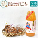 【ふるさと納税】秋田県産 100%りんごジュース 1000ml×1本、秋田の伝統菓子 なんばこ3袋