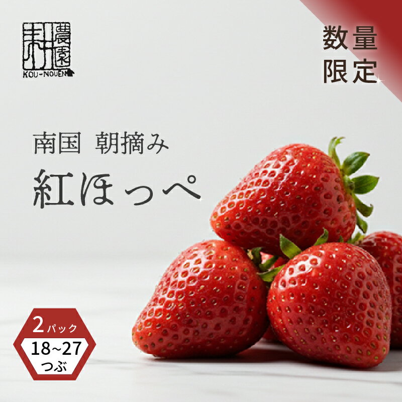【ふるさと納税】 先行予約 いちご 紅ほっぺ 贈答品 1箱（2パック：18～27粒） 2026年1月発送開始 | 高級 厳選 こだわり 贅沢 贈り物 ギフト プレゼント 限定 お取り寄せ 苺 いちご 果物 くだもの フルーツ 人気 旬 甘い 大粒 高糖度 産地直送 期間限定 高知県 南国市