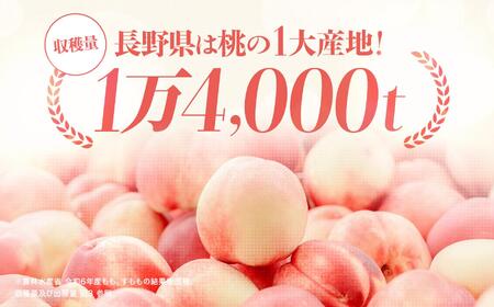 【先行受付】【8月上旬～発送】桃 約3kg （ 9 ～ 10 玉 ）