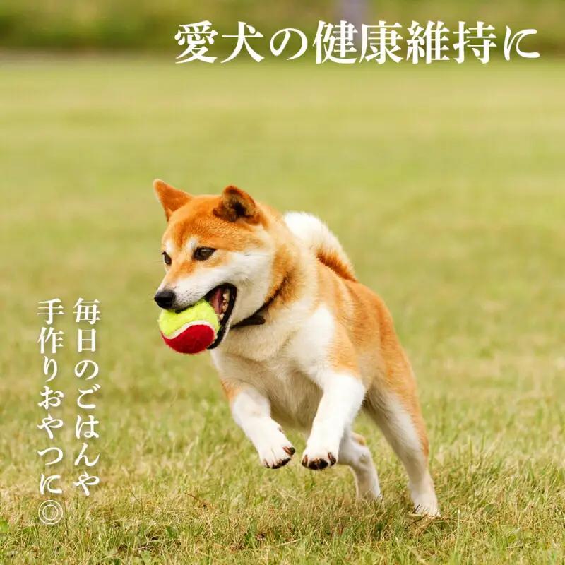 ペット用 エゾ鹿挽き肉 200ｇ×5袋≪REAL DOG FOOD≫_Y020-0631