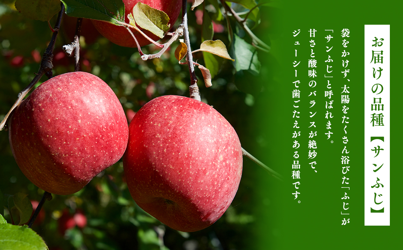 3月 サンふじ約3kg 糖度13度以上【hi-0009-013】
