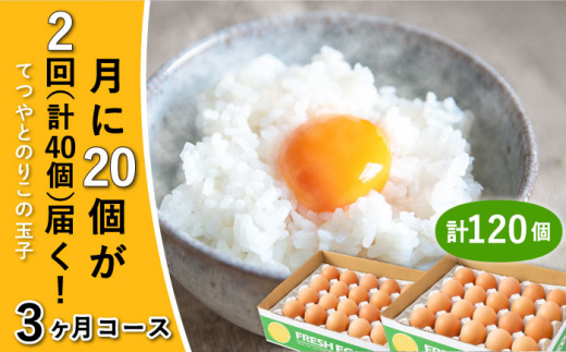 《月2回 × 20個  3ヶ月コース》【15日・30日ごろ出荷】卵 てつやとのりこの玉子  全6回定期便 糸島市 / 板垣ファーム 卵 たまご 玉子 鶏卵 卵かけご飯 便利 定期便 定期購入 [AWD012-2]