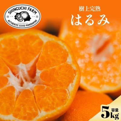 
                  老舗農家が見極めたプレミアム＜はるみ5kg＞＜希少・プチプチ食感＞＜D70-131＞【1684364】
                