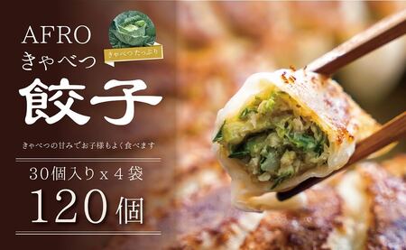 きゃべつ餃子 120個 餃子 餃子 餃子  くるくるやっほー