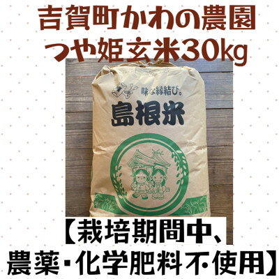 【ふるさと納税】吉賀町かわの農園　つや姫玄米30kg【栽培期間中、農薬・化学肥料不使用】【1698483】