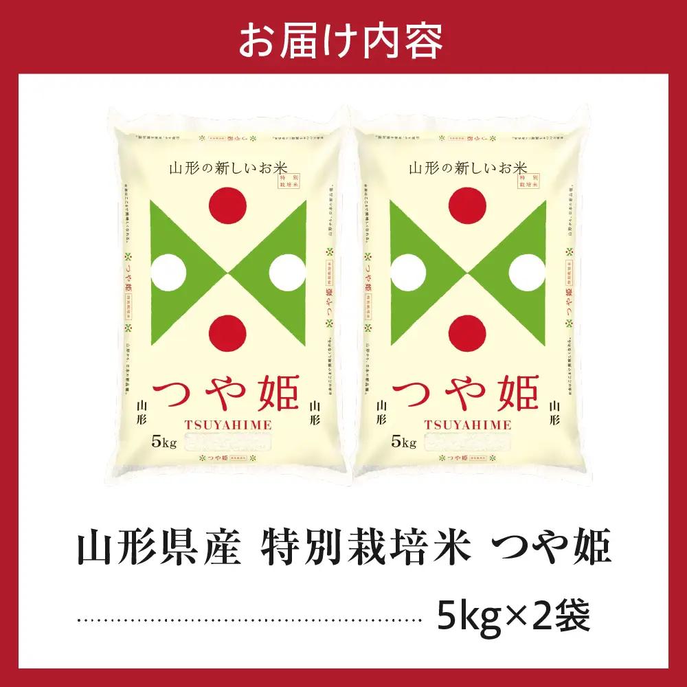 令和7年産 山形県産 特別栽培米 つや姫 10kg 精米 つや姫