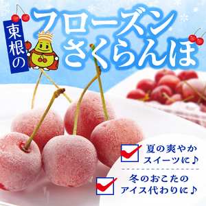 フローズンさくらんぼ「大将錦」2L玉200g入　A-0736