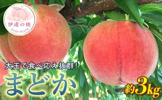 【2026年出荷分先行予約】福島県産 まどか 約3㎏ (9~12玉) 枝並農園 大玉 固め 伊達の桃 桃 フルーツ 果物 もも モモ momo F20C-370