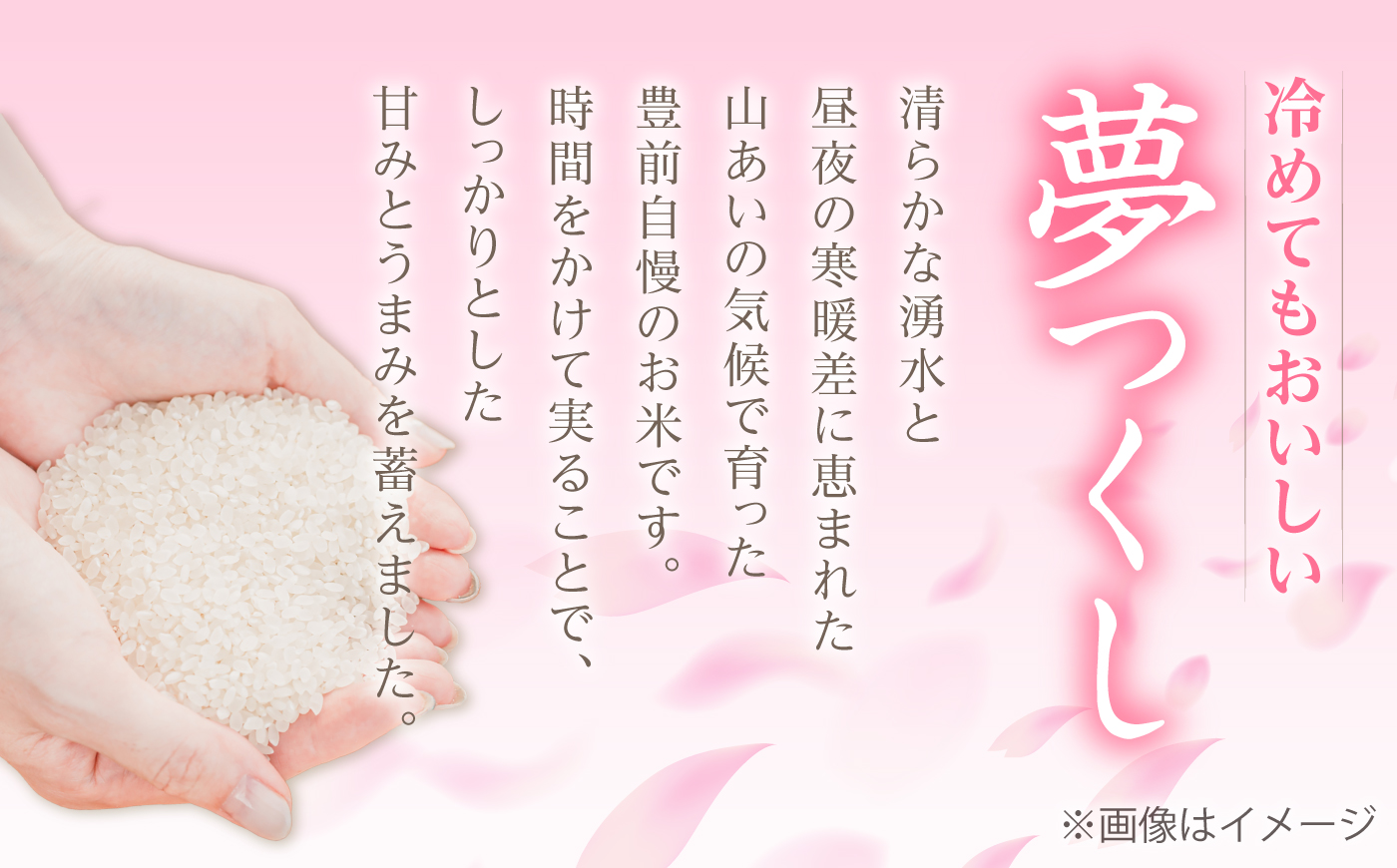 【新米先行予約】【全6回定期便】福岡県産米 夢つくし 20kg (10kg×2袋) 【2024年9月以降順次発送】 《豊前市》【湯越農園】米 精米 白米 [VBC015]