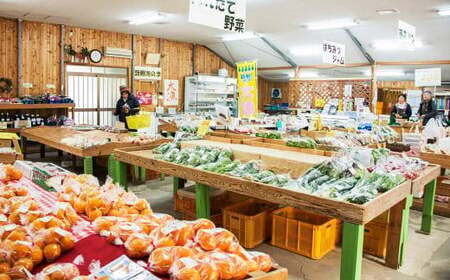 【地元民が愛する幻のすいか】長浦すいか（M玉以上 ／ 5-6kg） 【2026年6月上旬～6月下旬迄発送予定】 ／ 長浦スイカ すいか スイカ 西瓜 果物 フルーツ 季節の果物 長崎県産 長崎市産 長