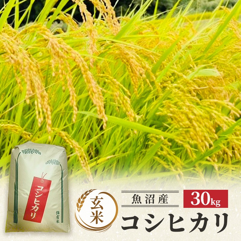 【令和8年産】魚沼産コシヒカリ(玄米)30kg 米 コメ こしひかり ブランド米 お取り寄せ 魚沼市