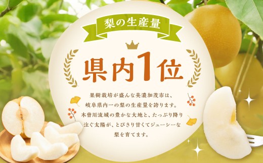 ≪先行受付≫ 福果園の樹上完熟梨 農家直送品種おまかせ（3kg程度）5～9玉 | 福果園 梨 果物 果実 完熟 フルーツ 冷蔵 農家直送 新鮮 品種 おまかせ 豊水 福水 あきづき 甘太 岐阜県 美濃加茂市 送料無料 【2026年9月上旬-10月下旬発送予定】