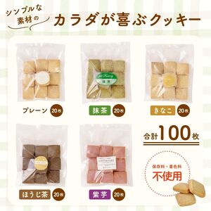 訳あり ほろさくクッキー 10袋 (5種100枚) クッキー