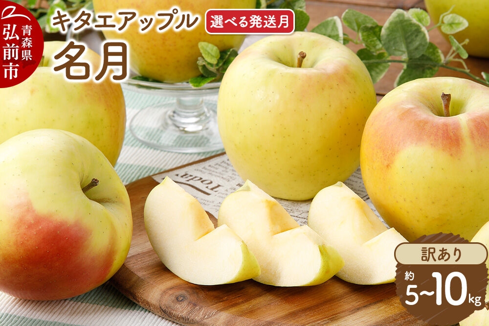 
                  りんご【選べる 26年11月／26年12月／27年1月 発送】名月【訳あり】【選べる約 5kg／10kg】キタエアップル 青森県 弘前市 [先行予約 名月 りんご 訳あり 家庭用 アップル おいしい 果実 果物 黄色 美味 林檎]
                