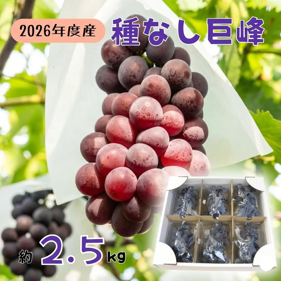 【2026年先行予約】訳あり巨峰 バラ房・バラ粒パック 約2.5kg 姫野農園 | 訳あり巨峰